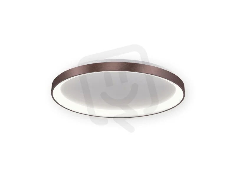 2026_07_19_1242198